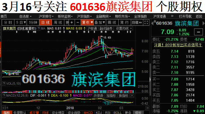 股票601636股吧，投资人的智慧聚集地，股票601636股吧，投资人的智慧交流圣地