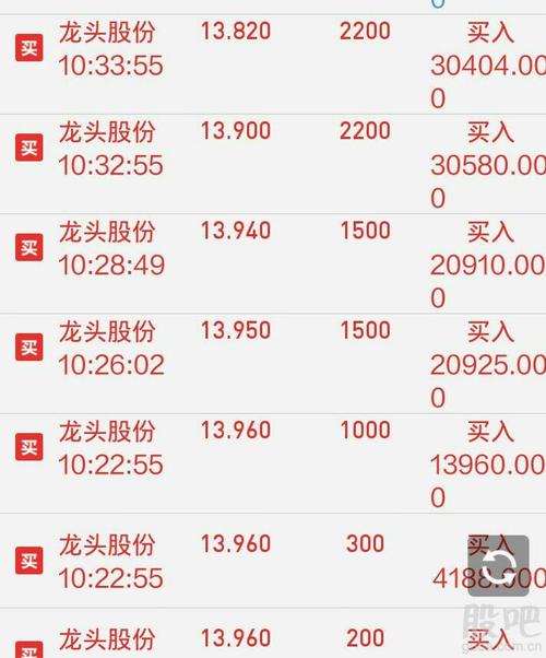 龙头股份股吧东方财富，股市新星与金融生态的交融，龙头股份与金融生态交融，股市新星闪耀东方财富股吧