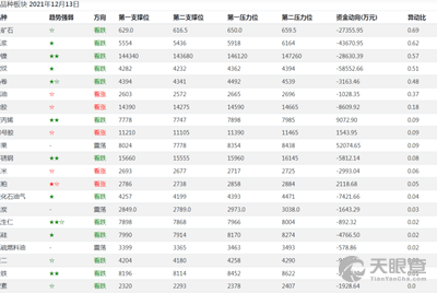 国家正规期货公司概览，国家正规期货公司全景概览