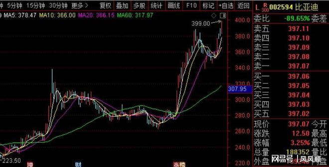 深度解析，关于603682股票的全面观察，全面深度解析，关于股票603682的综合观察与探讨