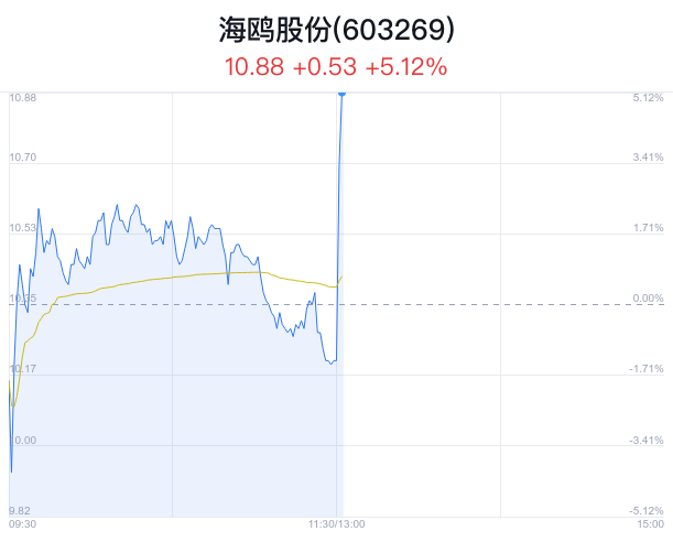 海鸥股票，逐浪资本市场的新动力源泉，海鸥股票，资本市场新动力源泉的逐浪者