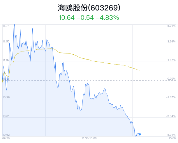 海鸥股票，逐浪资本市场的新动力源泉，海鸥股票，资本市场新动力源泉的逐浪者