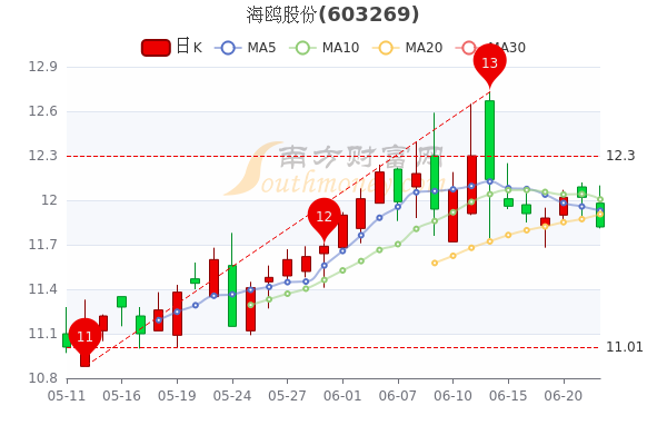 海鸥股票，逐浪资本市场的新动力源泉，海鸥股票，资本市场新动力源泉的逐浪者