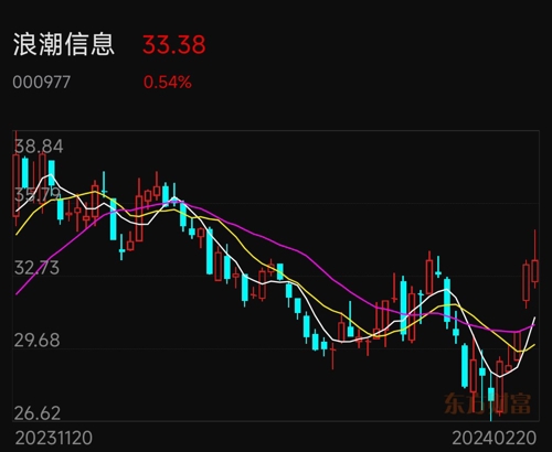 浪潮信息股票最新点评，深度分析与展望，浪潮信息股票最新点评及深度分析与展望