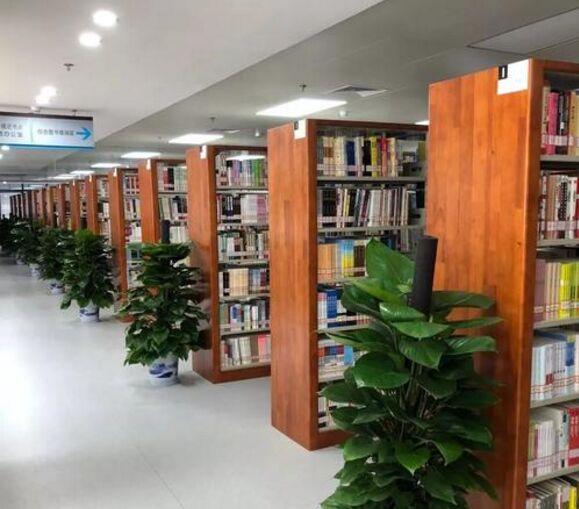 国证指数官网，数据权威，服务全面，助力投资者决策，国证指数官网，权威数据、全面服务，助力投资决策