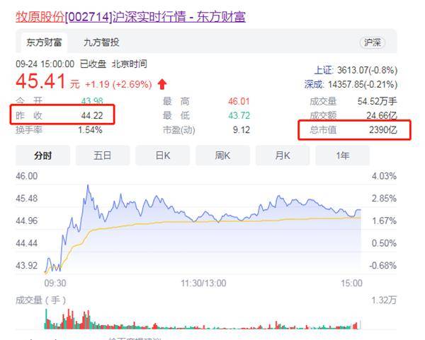 牧原股份历史最高价，探究与启示，牧原股份历史最高价背后的故事与启示