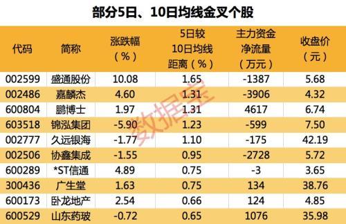 葛洲坝股票千股千评，深度解析与前景展望，葛洲坝股票深度解析与前景展望，千股千评报告