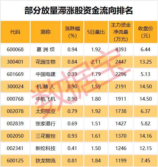 葛洲坝股票千股千评，深度解析与前景展望，葛洲坝股票深度解析与前景展望，千股千评报告