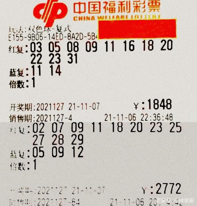 澳门4949开奖结果与双色球，探索彩票世界的速度与激情，澳门4949开奖与双色球，彩票世界的速度与激情探索