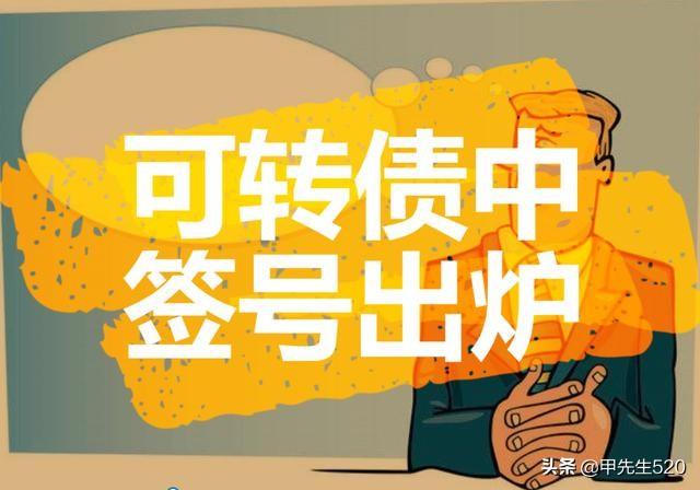 今日公布中签号的股票，市场的新动态与投资者策略，今日股票中签号公布，市场新动态与投资者应对策略