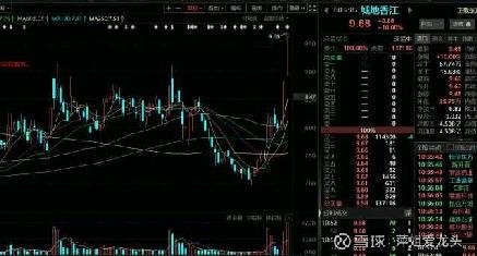 探索603887城地股份，股吧的独特魅力与挑战，揭秘股吧魅力与挑战，聚焦603887城地股份