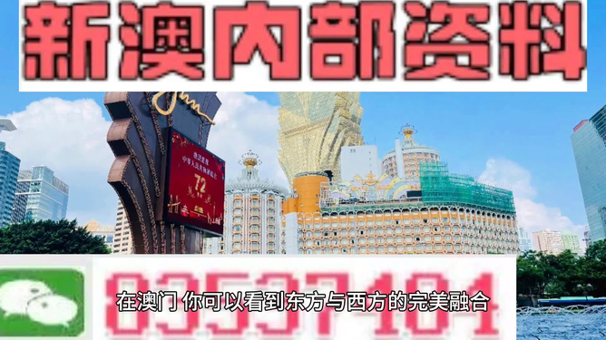 新澳24年088期资料深度解析，新澳24年088期资料深度剖析报告