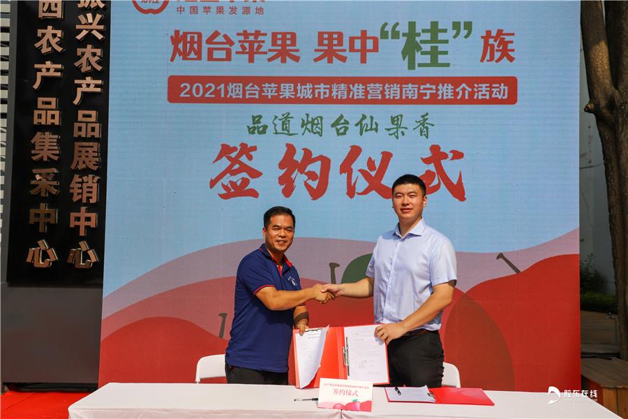 烟台相亲论坛，搭建缘分桥梁，寻觅理想伴侣，烟台相亲论坛，搭建缘分桥梁，寻找理想伴侣之旅
