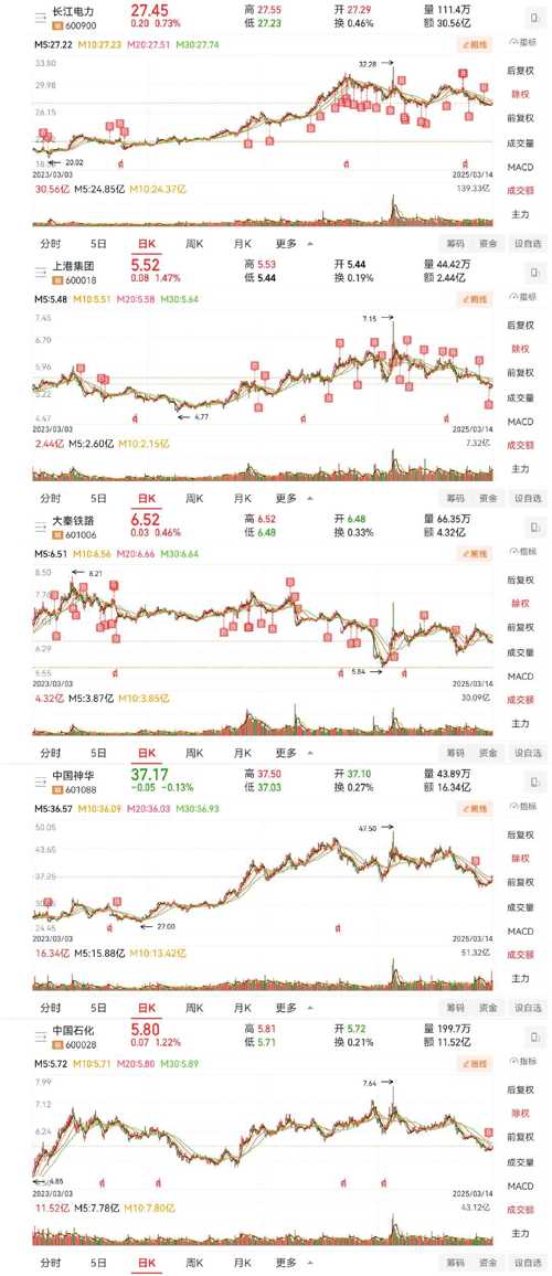 上海港股票行情深度解析，上海港股票行情全面解析