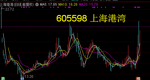 上海港股票行情深度解析，上海港股票行情全面解析