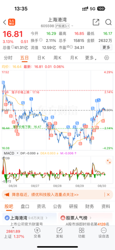 上海港股票行情深度解析，上海港股票行情全面解析
