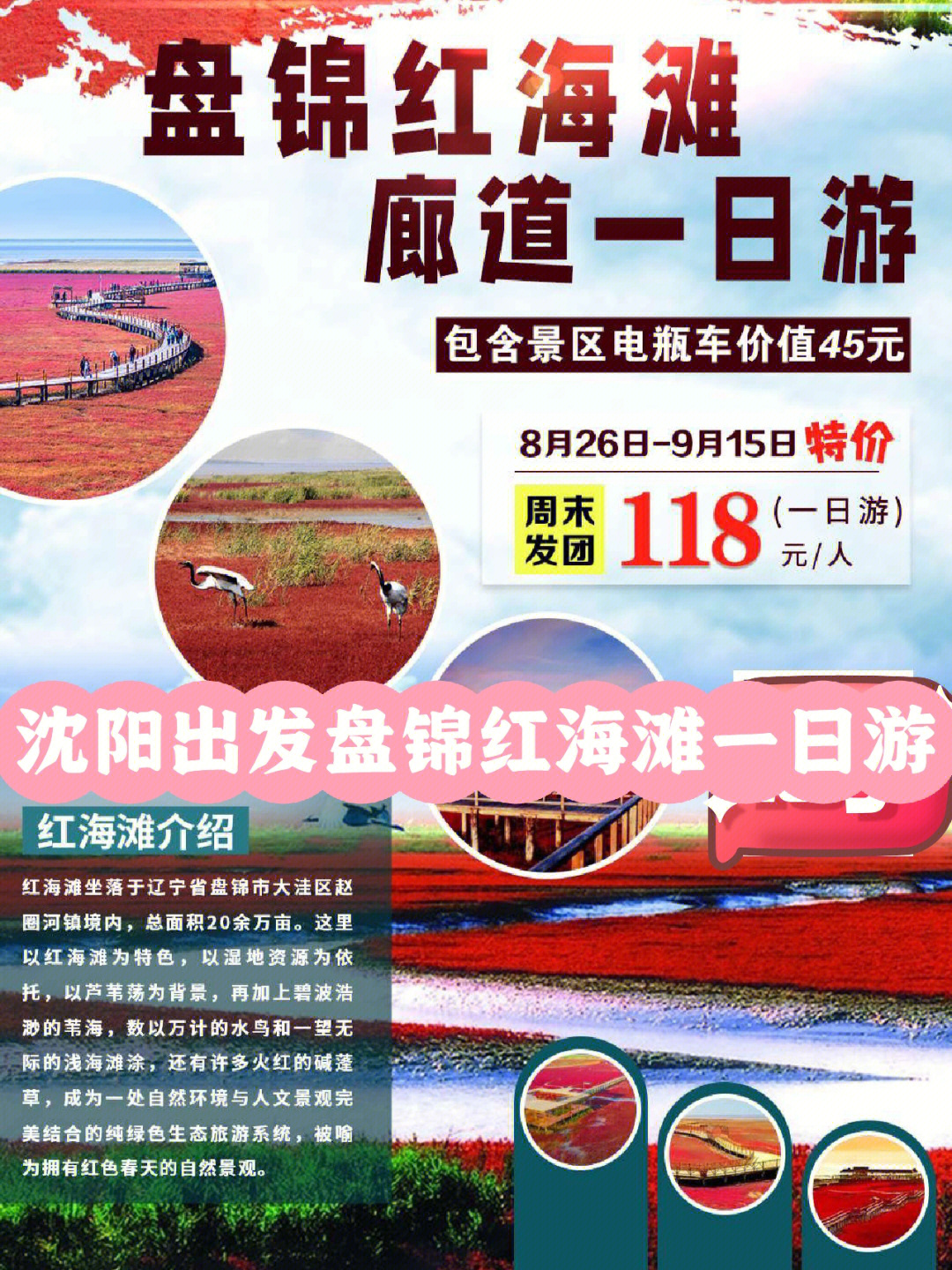盘锦红海滩一日游攻略，盘锦红海滩一日游精彩攻略