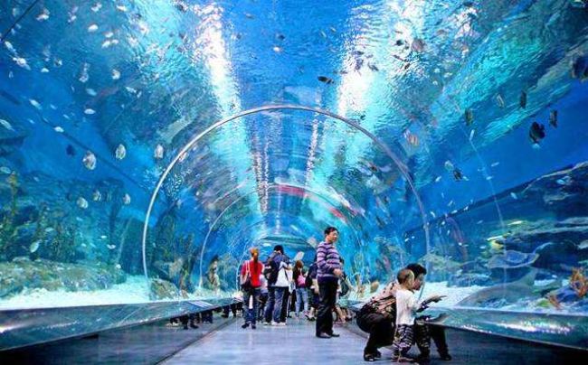 重庆海洋馆门票价格
