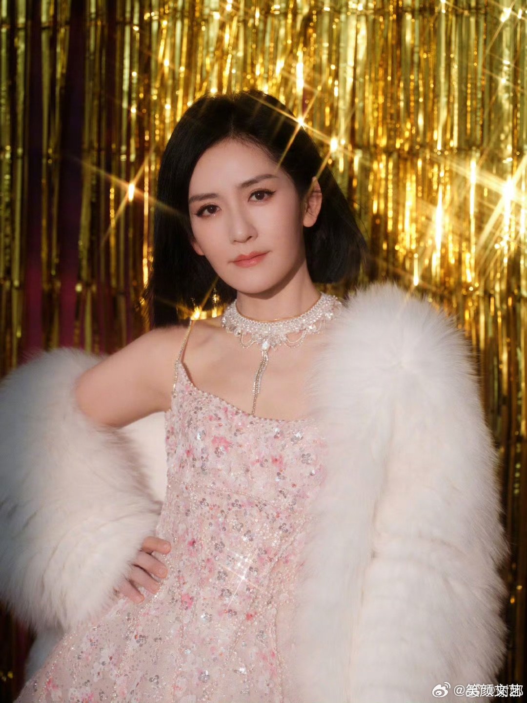 谢娜最新消息，事业新高峰，家庭新篇章，谢娜事业新高峰，家庭新篇章揭秘