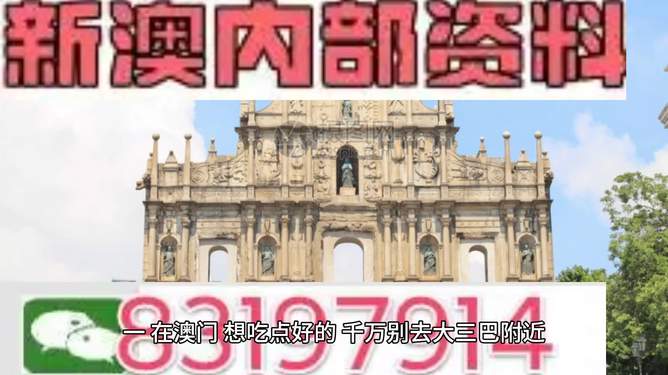 新澳新澳门正版资料的重要性及其影响，新澳正版资料的重要性及其深远影响