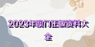 澳门正版免费全年资料大全旅游团，探索澳门魅力的绝佳选择，澳门正版全年旅游资料大全，探索澳门魅力的旅游团首选