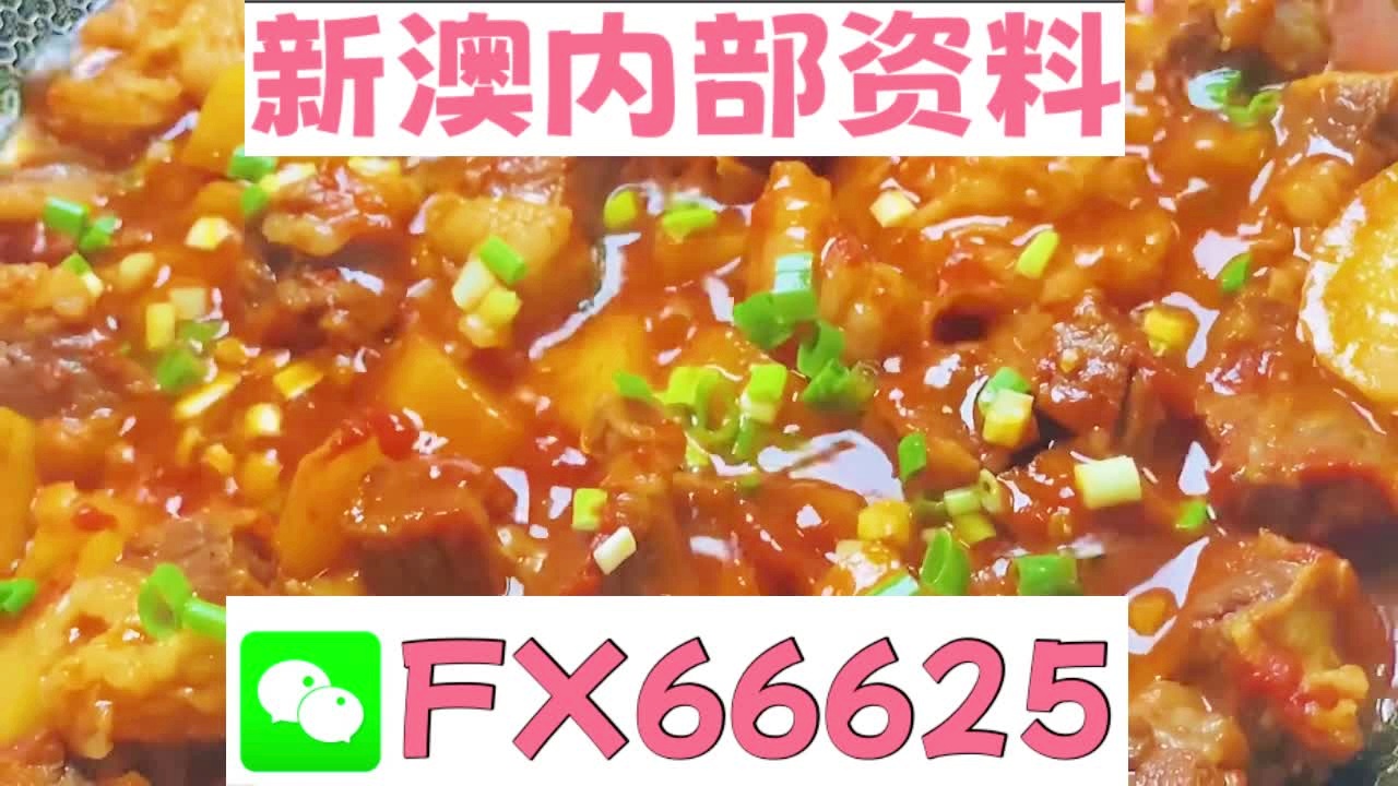 新澳门天天开奖资料大全，探索彩票的奥秘与吸引力，澳门彩票奥秘与吸引力，天天开奖资料大全探索