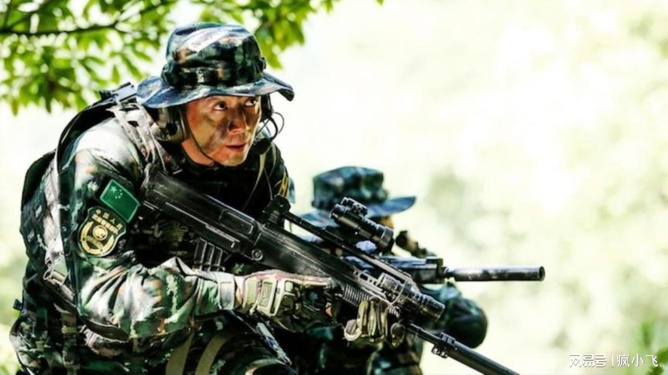 中国特种兵猎豹突击队，荣耀与力量的象征，中国特种兵猎豹突击队，荣耀与力量的巅峰之战