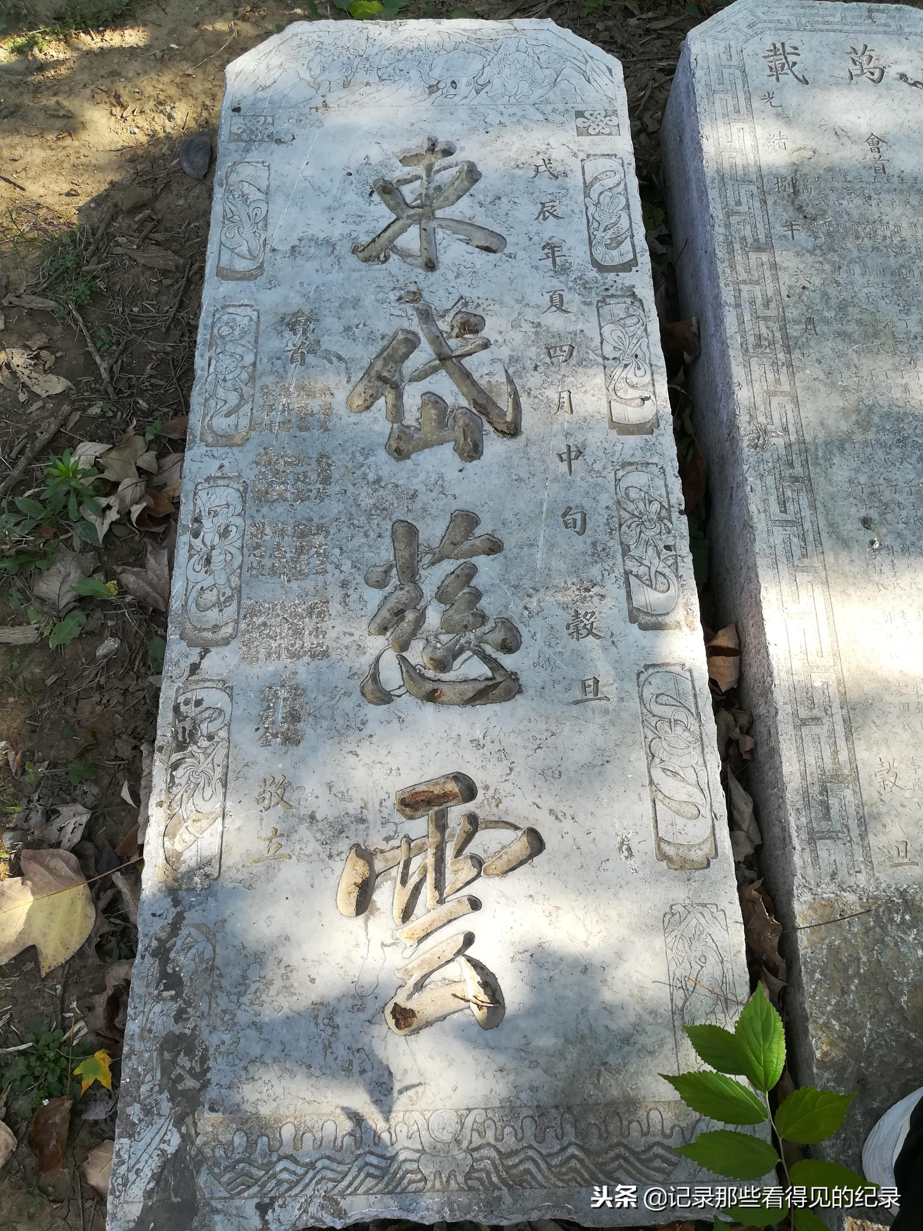 郑州绿博园门票价格详解，郑州绿博园门票价格全面解析