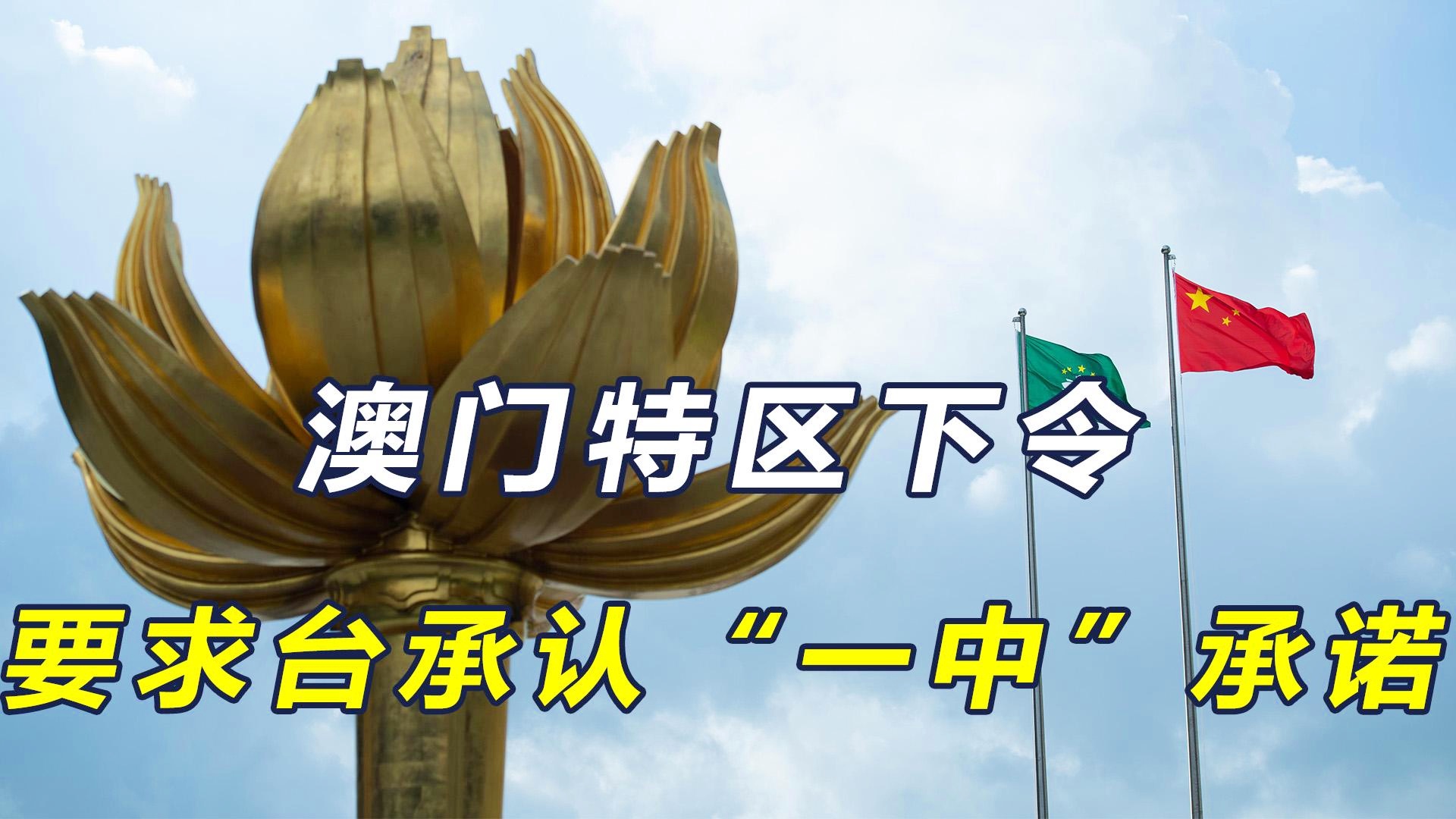 新澳门一码一肖一特一中今晚——探索与期待，澳门今晚一码一肖一特一中，期待与探索之夜
