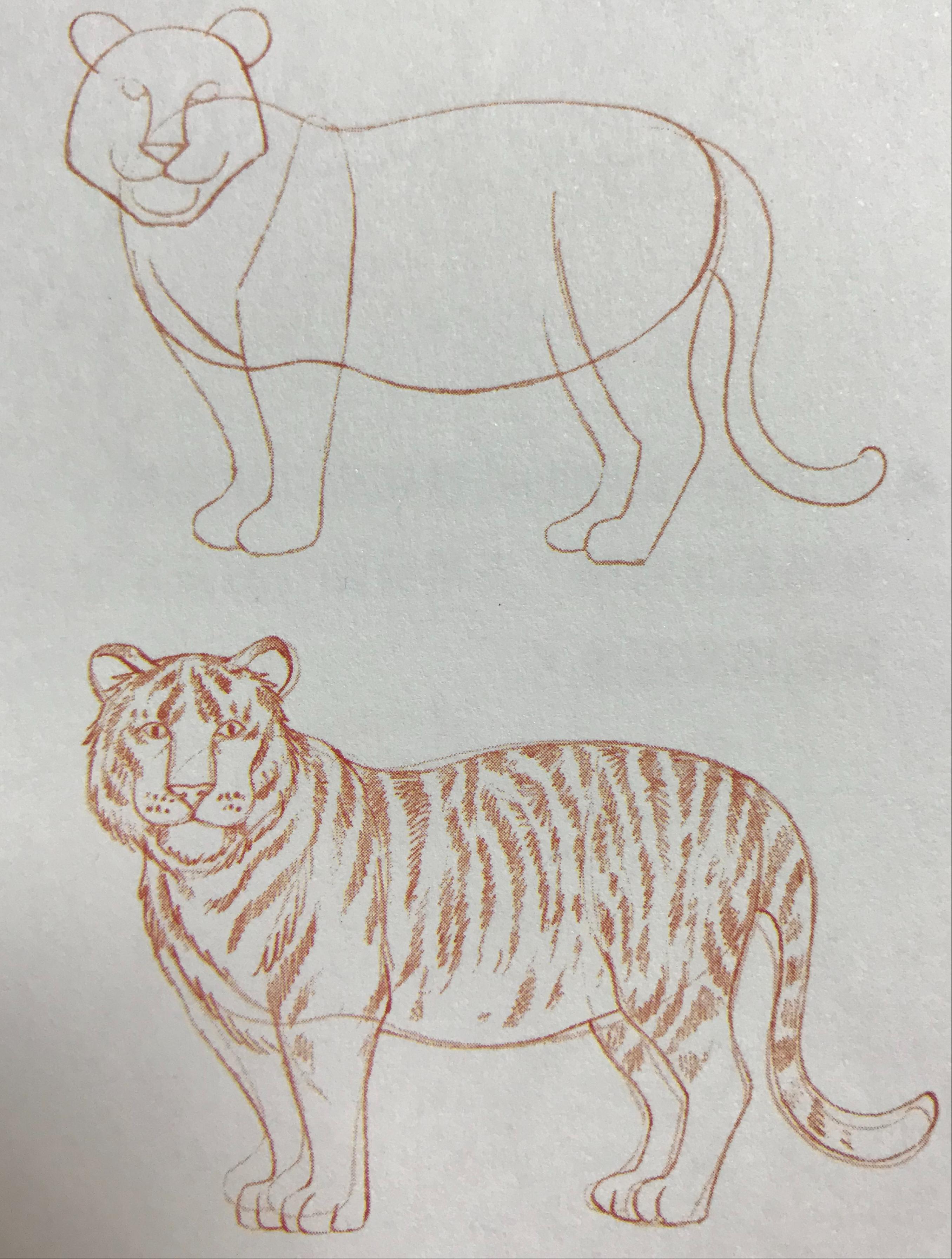 歼-10战斗机绘画教程，一步步带你走进战机世界，歼-10战斗机绘画教程，步入战机世界的指南