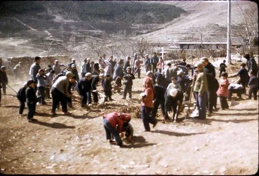唐山大地震，灾难中的坚韧与重生，唐山大地震，灾难中的坚韧与重生之路