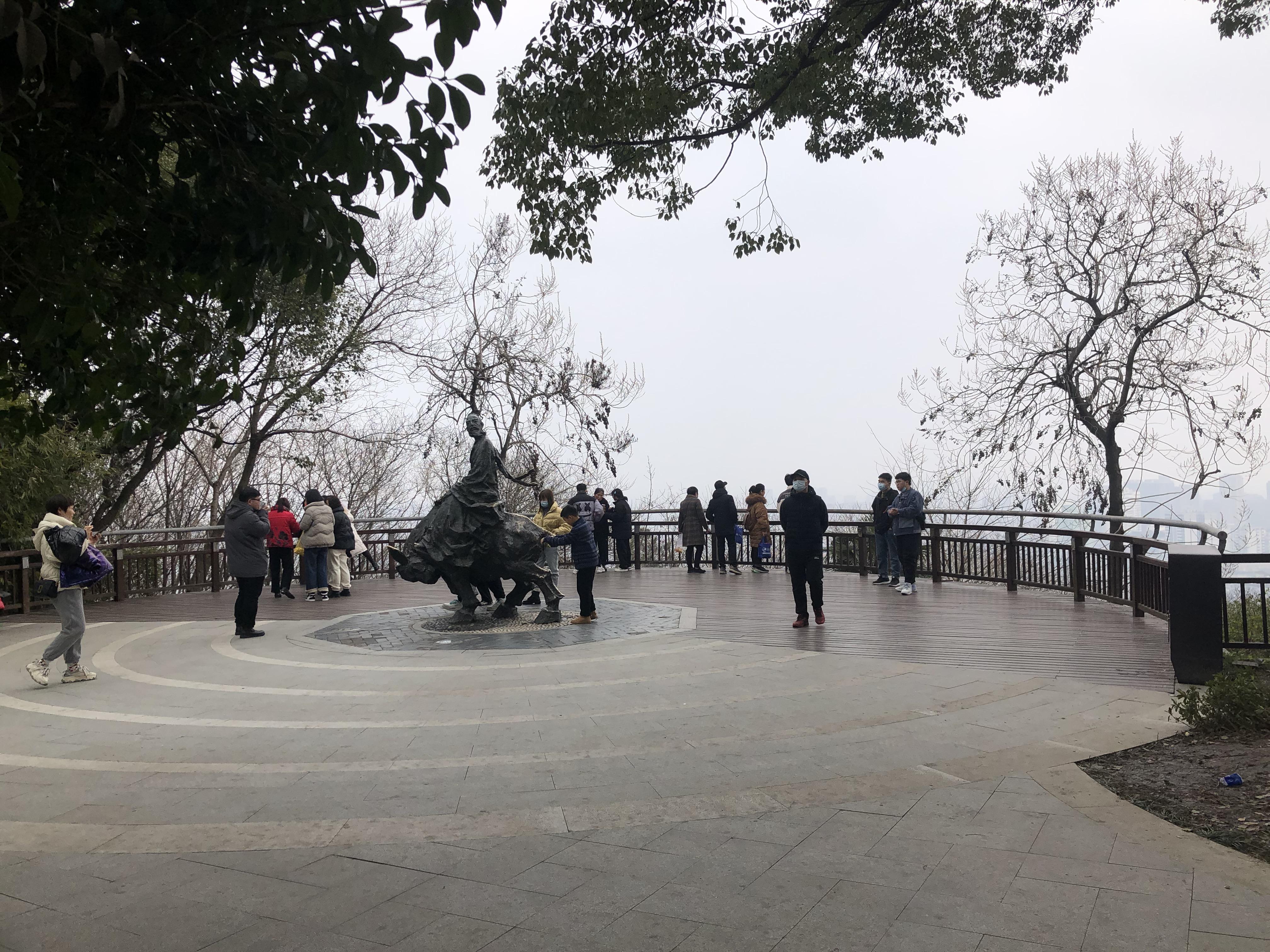 杭州乐园，游乐项目的魅力与图片展示，杭州乐园，游乐项目的魅力与精彩瞬间图片展示