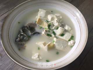 鲫鱼豆腐汤，一道家常美味汤品的做法，鲫鱼豆腐汤，家常美味汤品制作指南