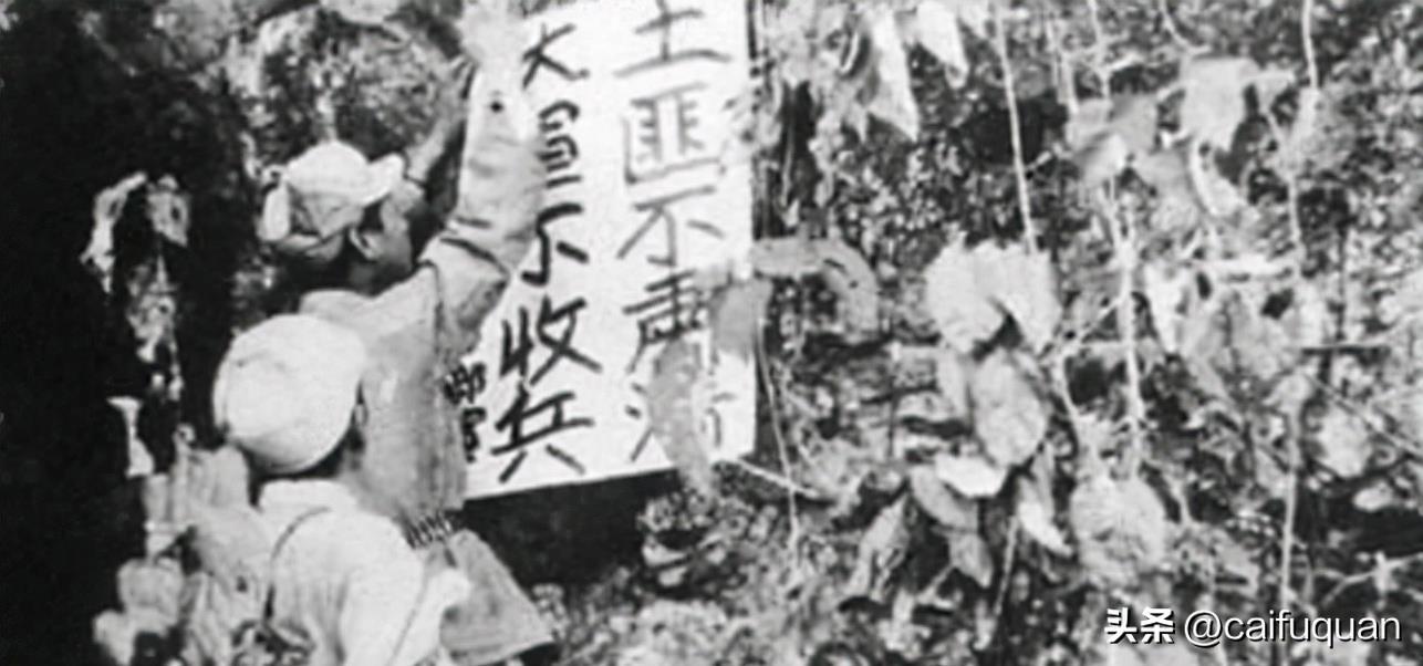 江华个人资料，一位多才多艺的明星，江华，多才多艺的明星个人档案