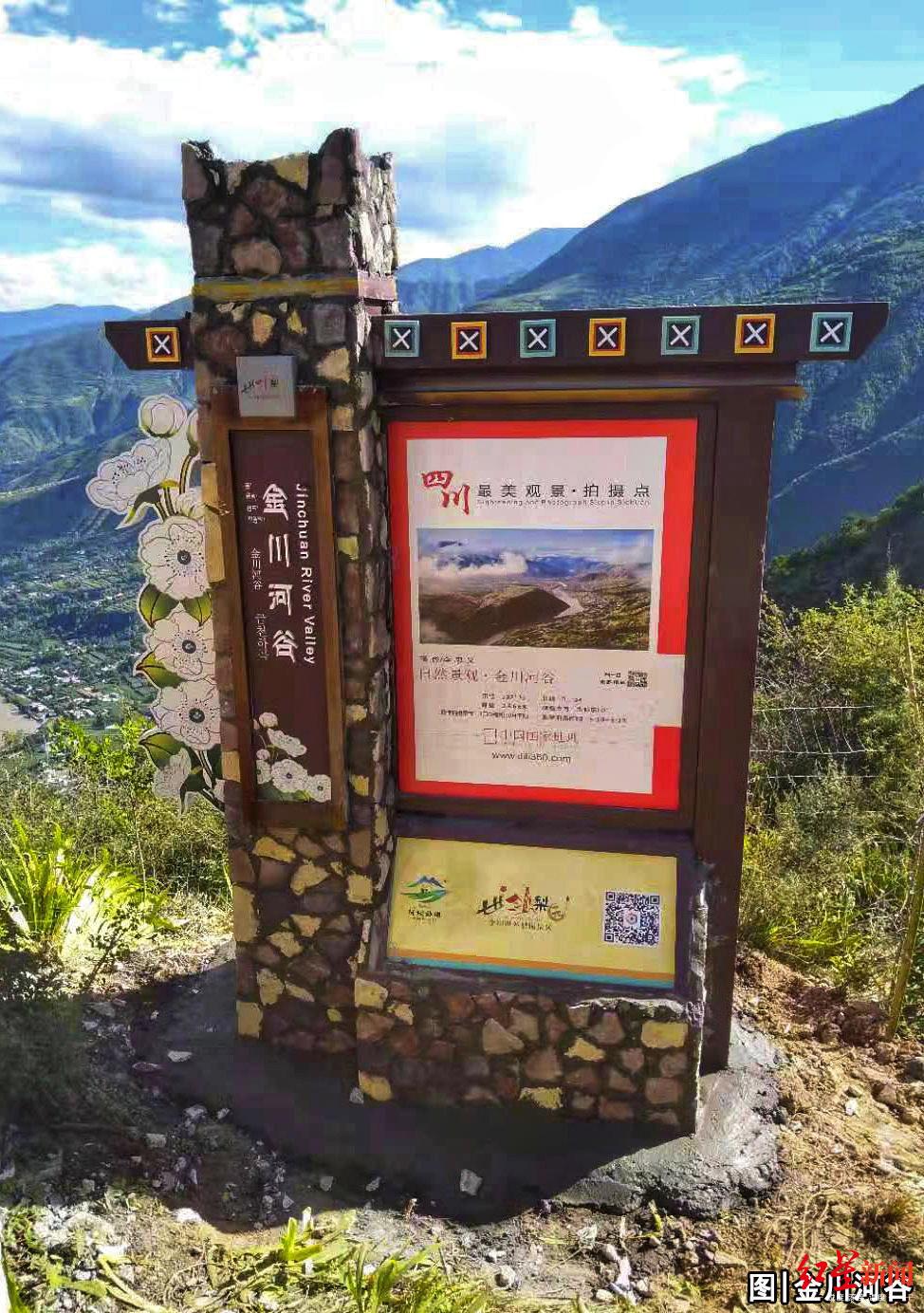 四川卧龙大熊猫基地，自然与生命的和谐乐章，四川卧龙大熊猫基地，自然与生命的和谐共舞