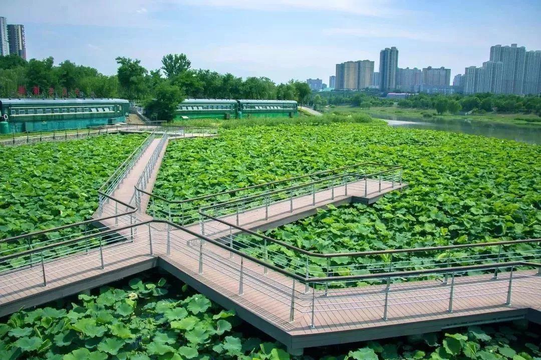 天坛生物股票值得长期投资吗？深度解析与前景展望，天坛生物股票长期投资价值深度解析与前景展望
