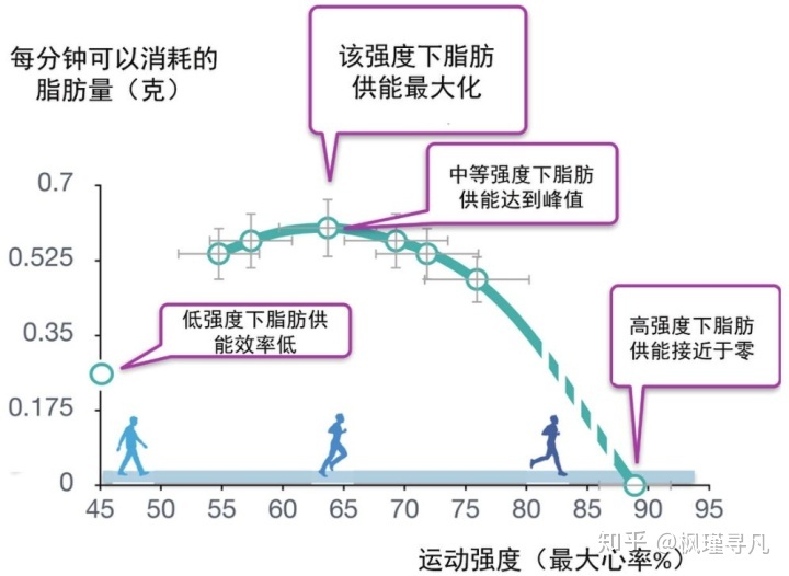 有氧运动减肥原理深度解析，有氧运动减肥原理深度剖析