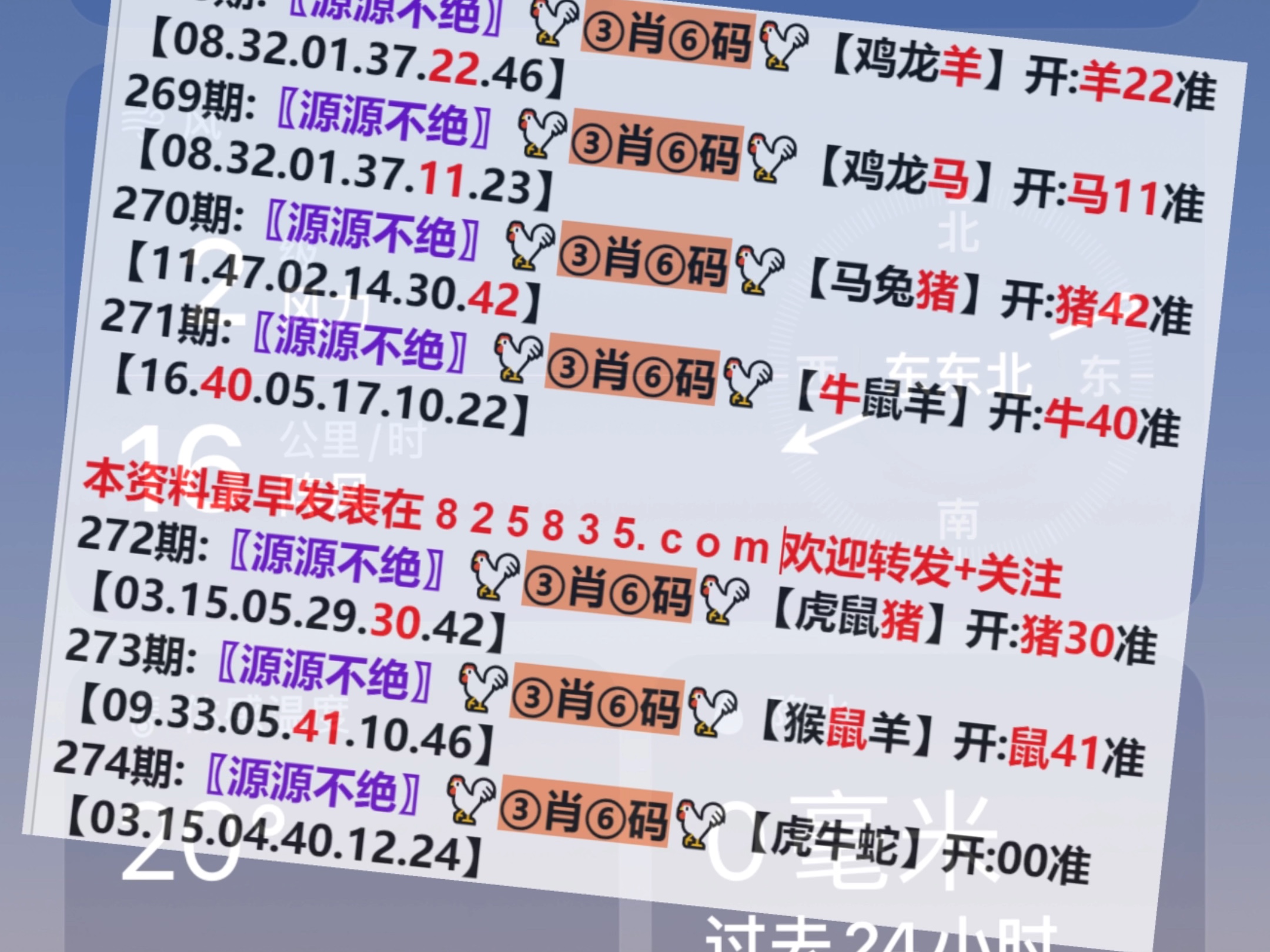 一肖一码澳门开奖结果及其背后的文化现象，澳门开奖结果背后的文化现象与一肖一码解析