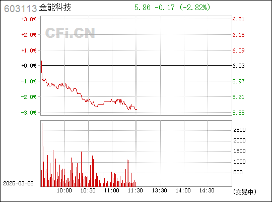 探索金能科技股，解码603113的独特魅力，金能科技股（603113）独特魅力深度解析