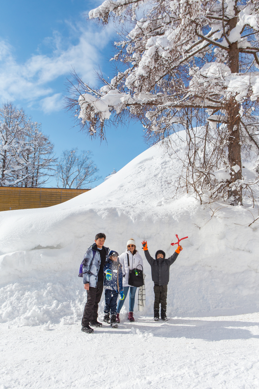 冬季旅游好去处——追寻白雪皑皑的冬日奇景，冬季旅游好去处，探寻白雪皑皑的冬日奇景