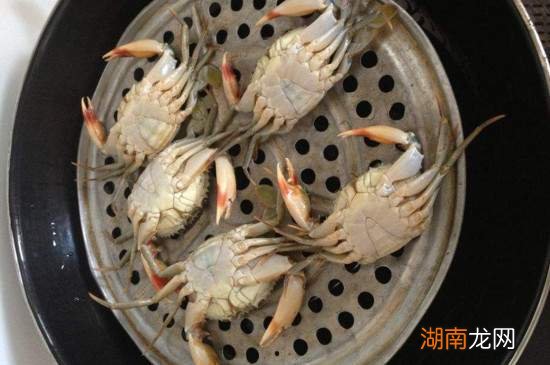 正确的蒸螃蟹方法，烹饪海鲜的艺术之旅，烹饪海鲜的艺术之旅，正确蒸螃蟹方法