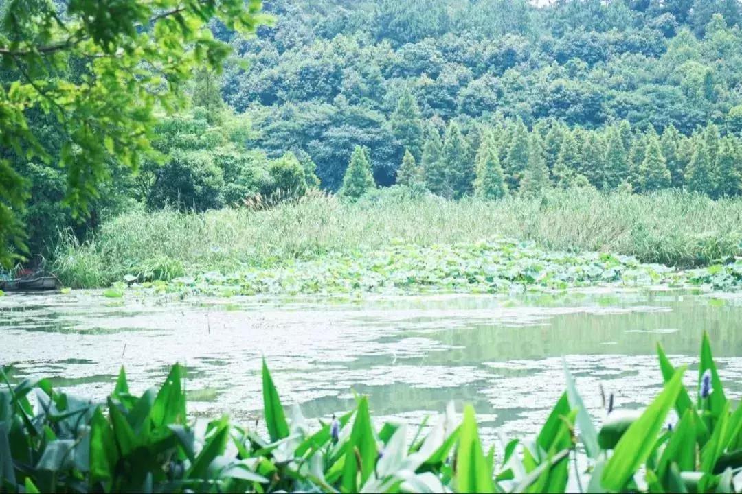 东钱湖水上乐园门票，体验极致水上乐趣的必备通行证，东钱湖水上乐园门票，畅享水上乐趣的必备通行证