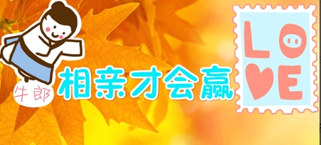 婚介上市公司数量及其市场影响力分析，婚介上市公司数量与市场影响力深度解析
