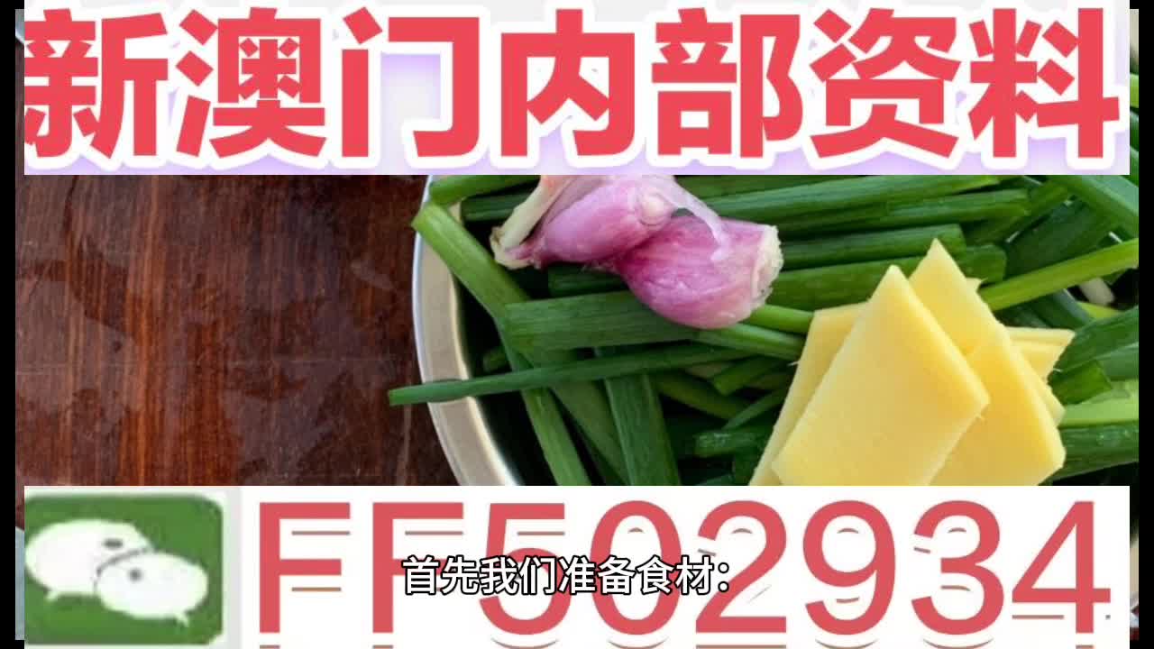 澳门今一必中一肖一码一肖，探索与解析，澳门今一必中生肖码解析与探索