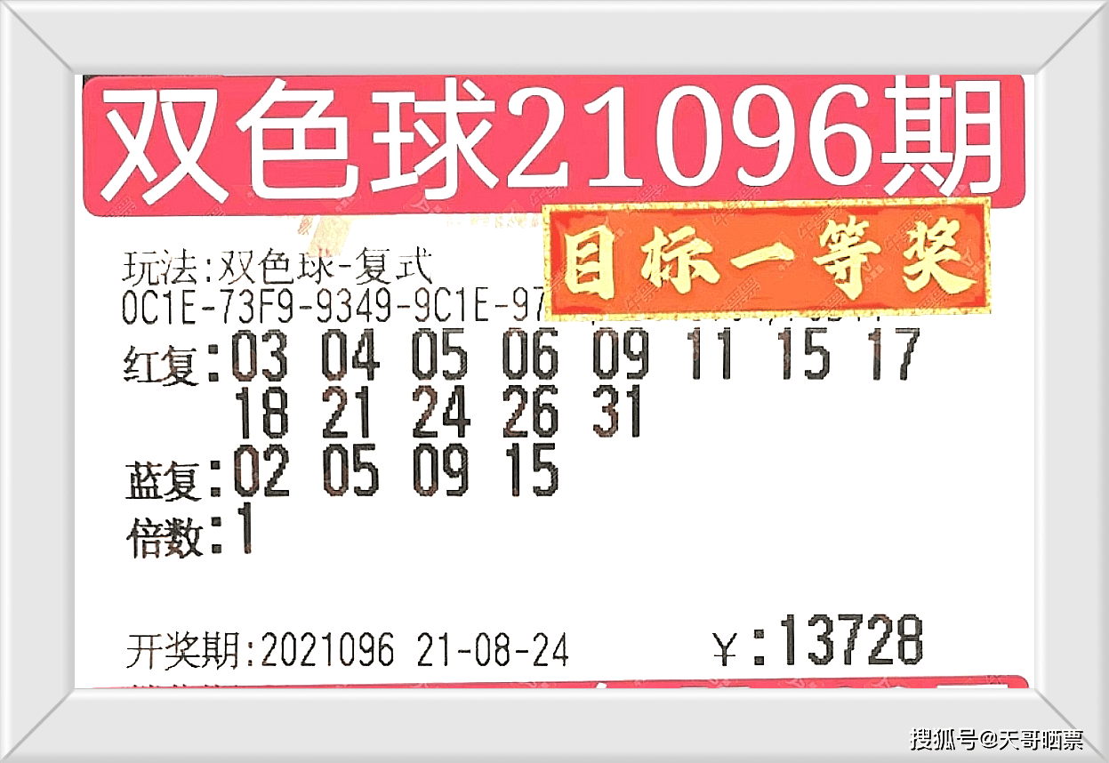 澳门今晚开奖结果号码揭秘，彩票背后的故事，澳门彩票开奖结果揭晓，号码背后的故事与揭秘