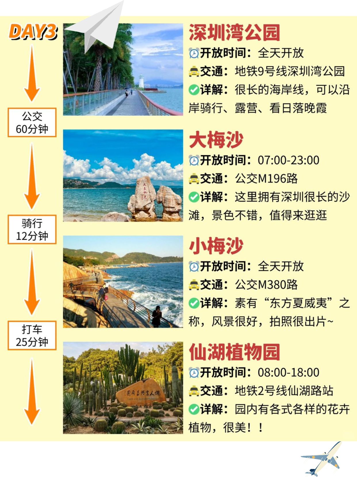 深圳红树林一日游攻略，深圳红树林一日游精彩攻略