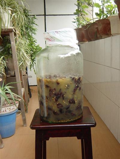 葡萄酒自酿全过程详解，葡萄酒自酿全过程详解指南
