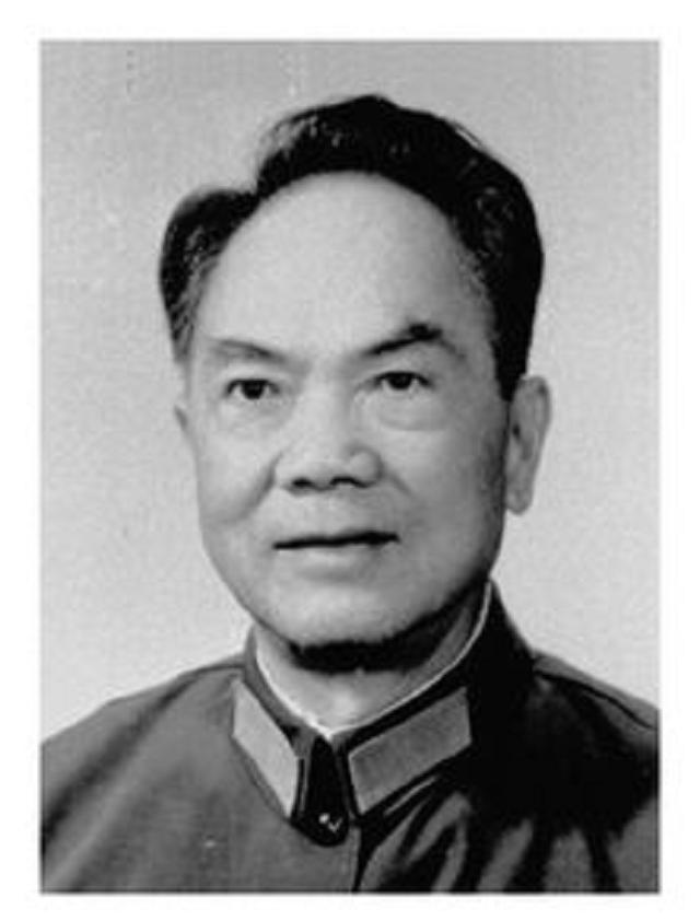 上将军衔的待遇，荣誉与责任的体现，上将军衔，荣誉、待遇与责任的象征