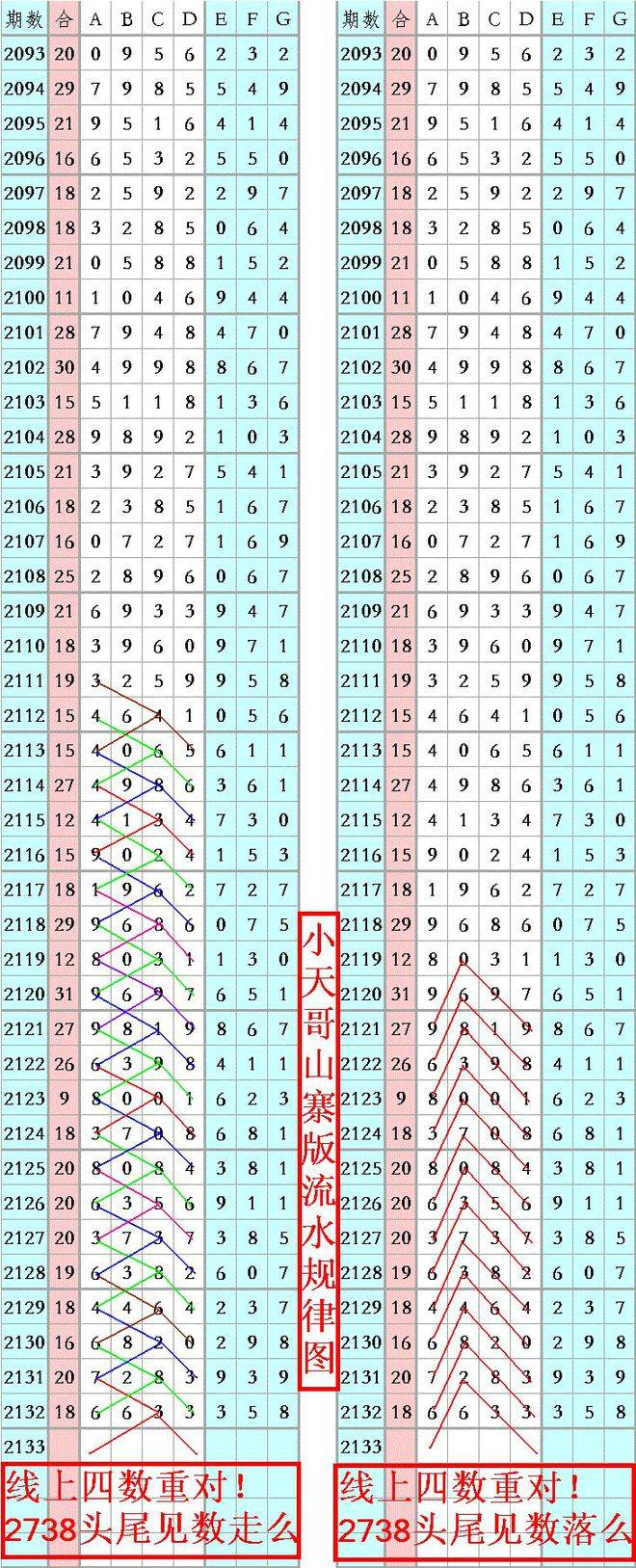 王中王精准六肖六码资料解析与应用策略，王中王精准六肖六码资料解析与运用策略指南