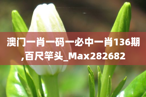 探索未来之门，澳门正版精准在2025的展望，探索未来之门，澳门正版精准展望2025年展望